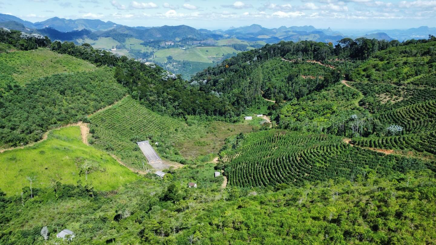 PROPRIEDADE RURAL DISPONÍVEL PARA VENDA