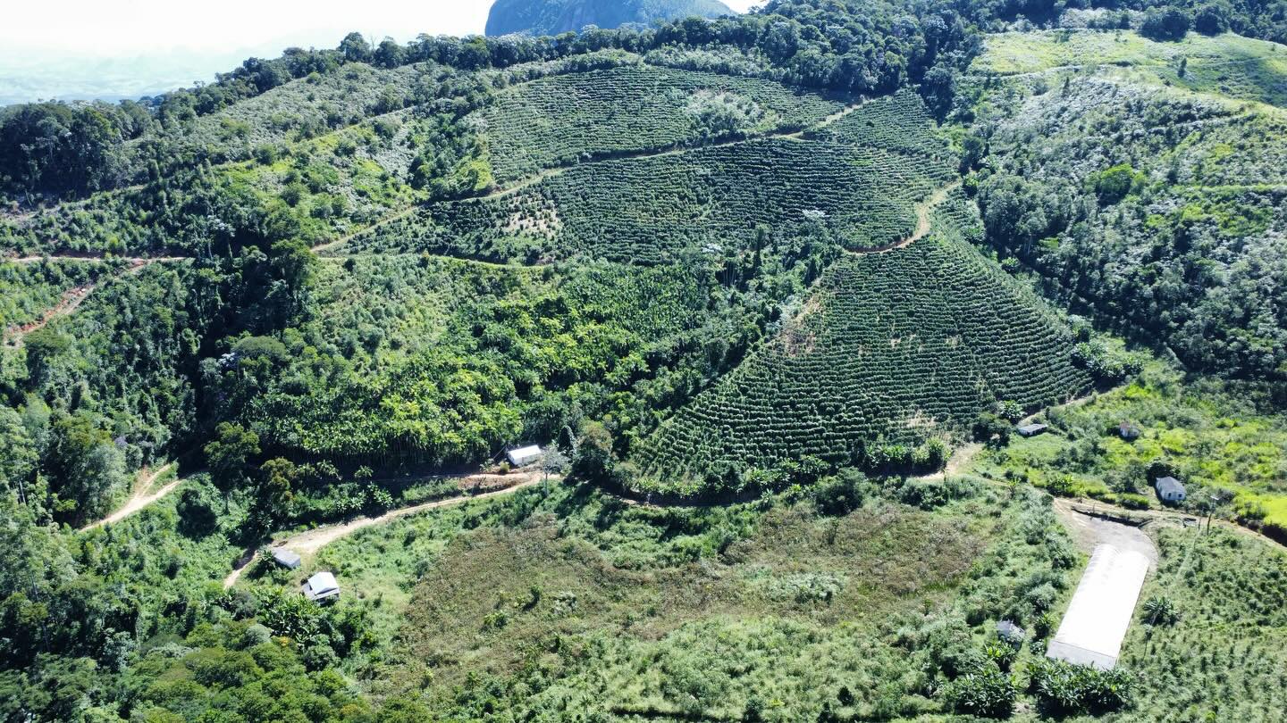 PROPRIEDADE RURAL DISPONÍVEL PARA VENDA