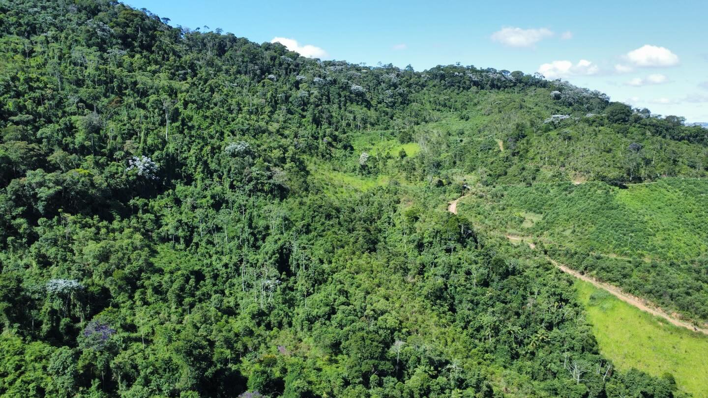 PROPRIEDADE RURAL DISPONÍVEL PARA VENDA