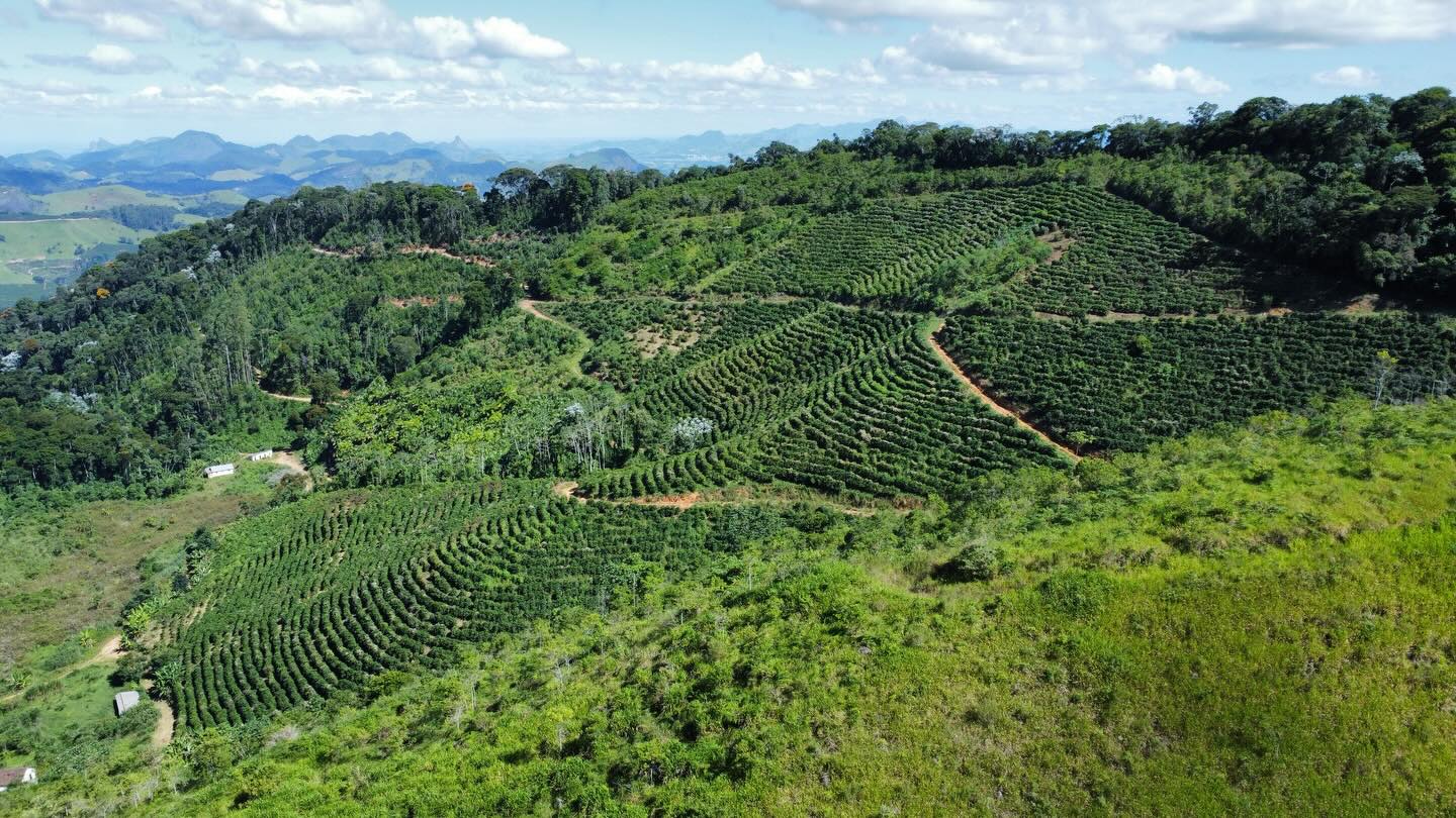 PROPRIEDADE RURAL DISPONÍVEL PARA VENDA