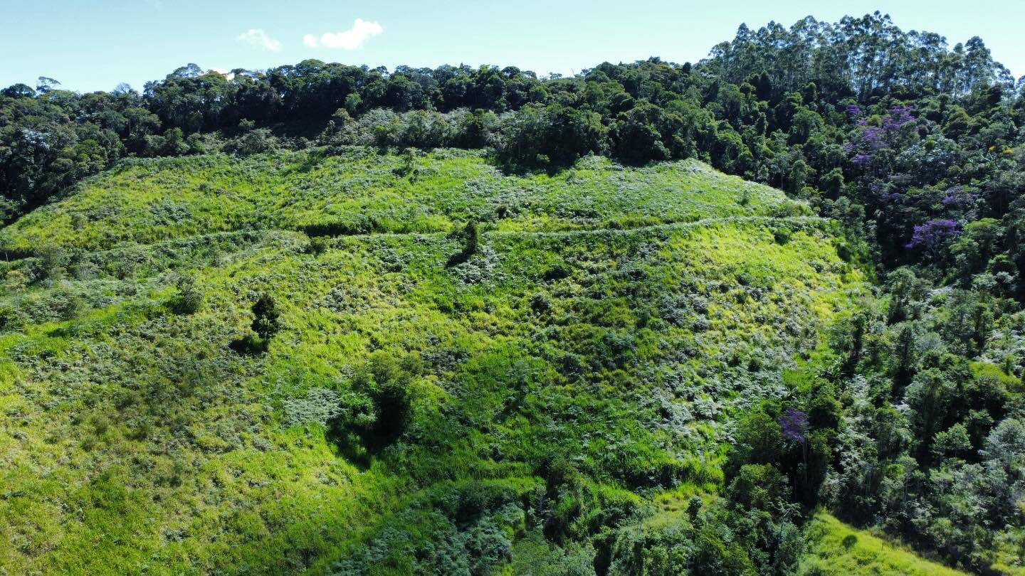 PROPRIEDADE RURAL DISPONÍVEL PARA VENDA