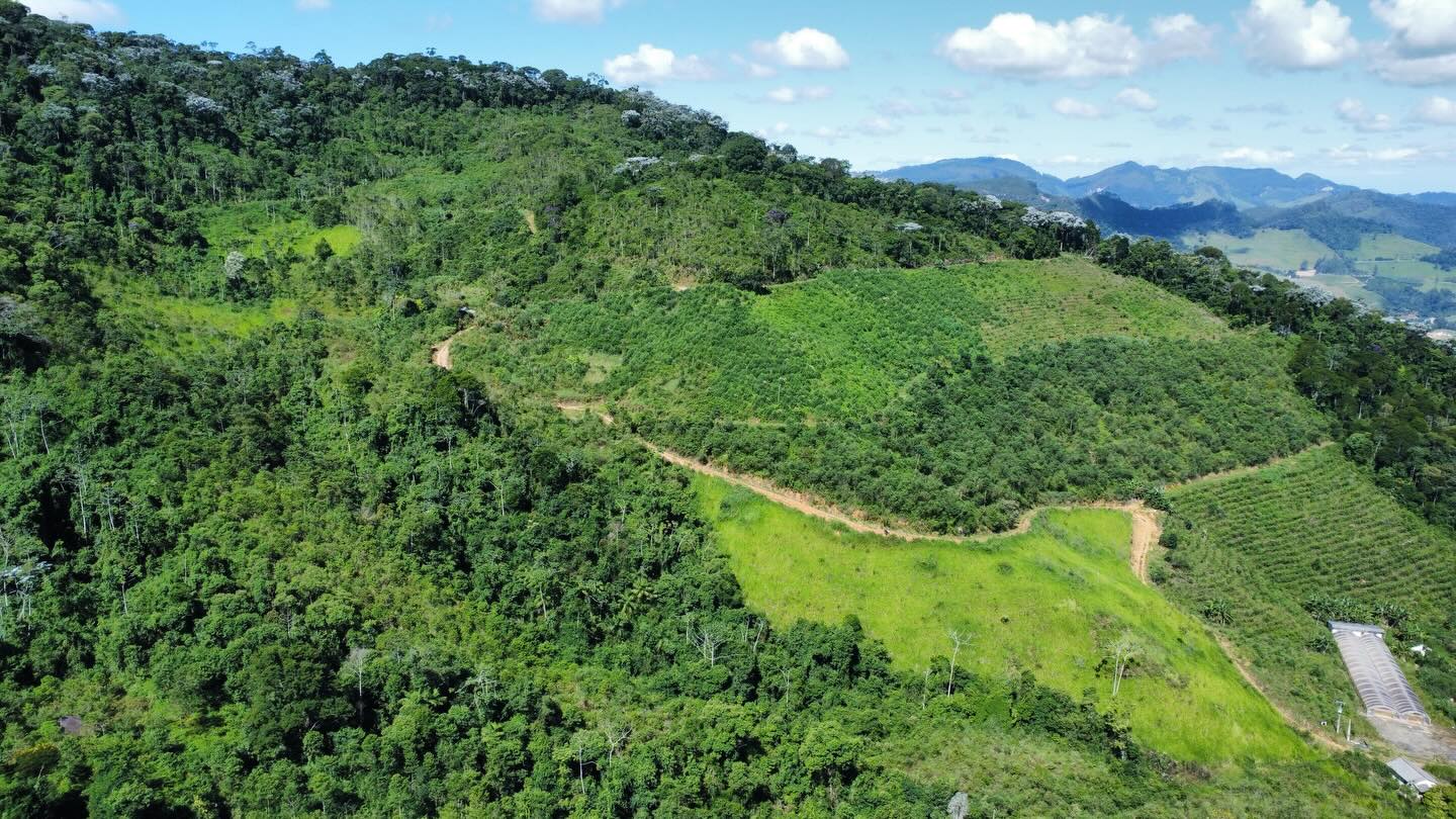 PROPRIEDADE RURAL DISPONÍVEL PARA VENDA