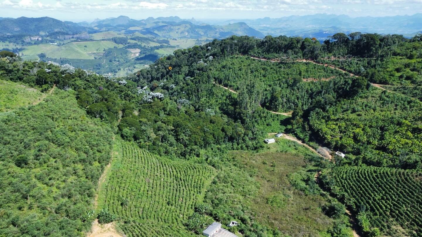 PROPRIEDADE RURAL DISPONÍVEL PARA VENDA