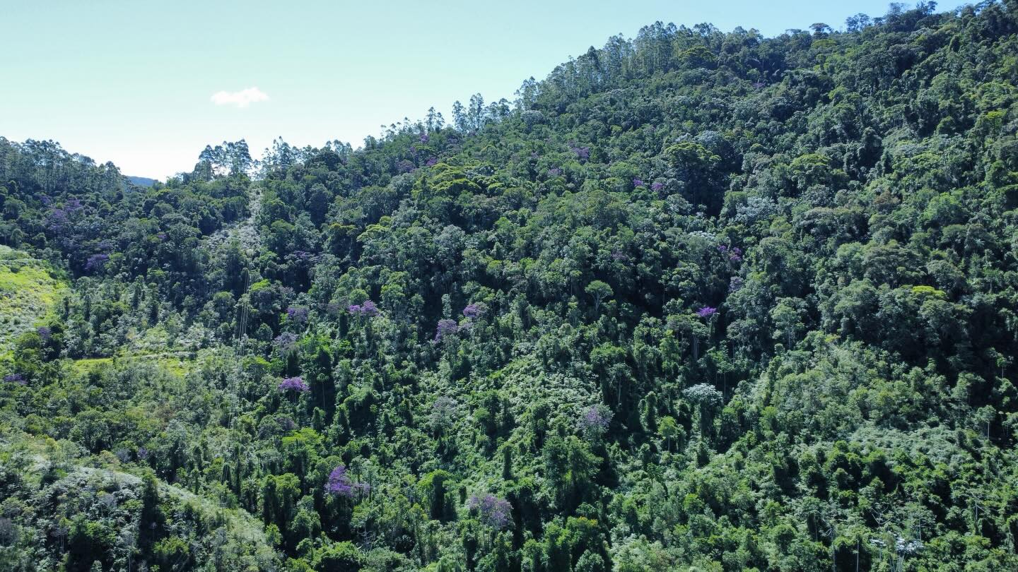 PROPRIEDADE RURAL DISPONÍVEL PARA VENDA
