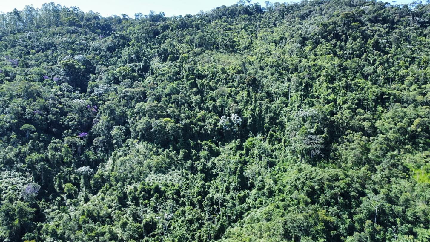 PROPRIEDADE RURAL DISPONÍVEL PARA VENDA