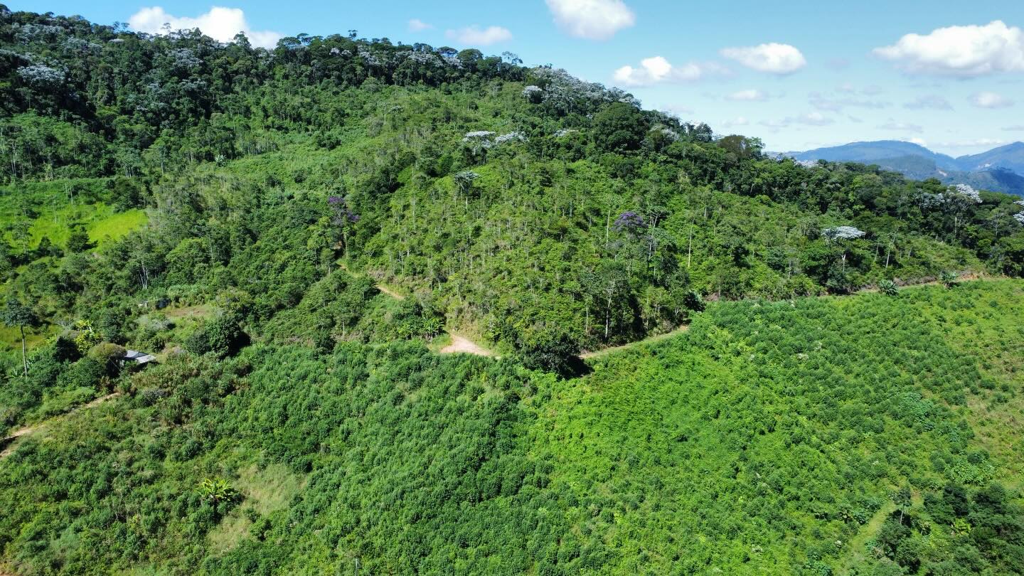 PROPRIEDADE RURAL DISPONÍVEL PARA VENDA