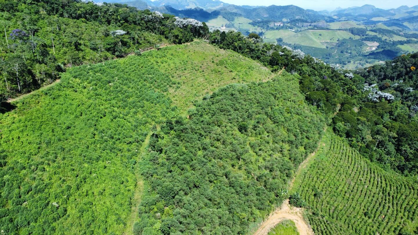 PROPRIEDADE RURAL DISPONÍVEL PARA VENDA