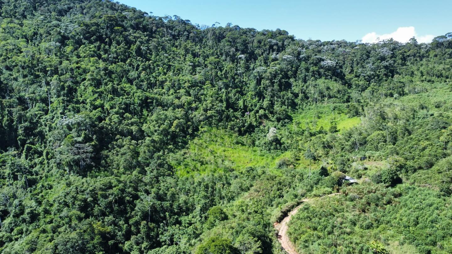 PROPRIEDADE RURAL DISPONÍVEL PARA VENDA