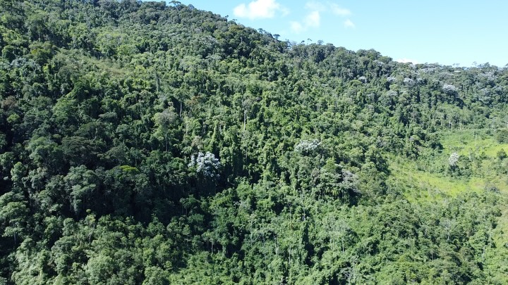 PROPRIEDADE RURAL DISPONÍVEL PARA VENDA