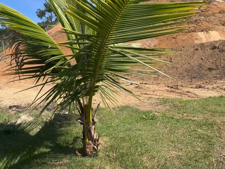 OPORTUNIDADE IMPERDÍVEL