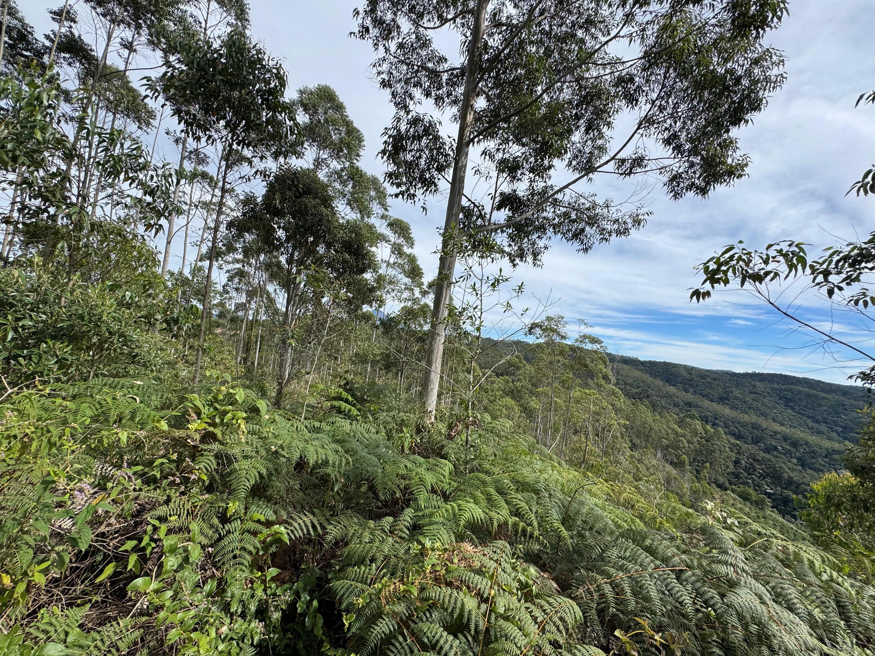 PROPRIEDADE DISPONÍVEL PARA VENDA