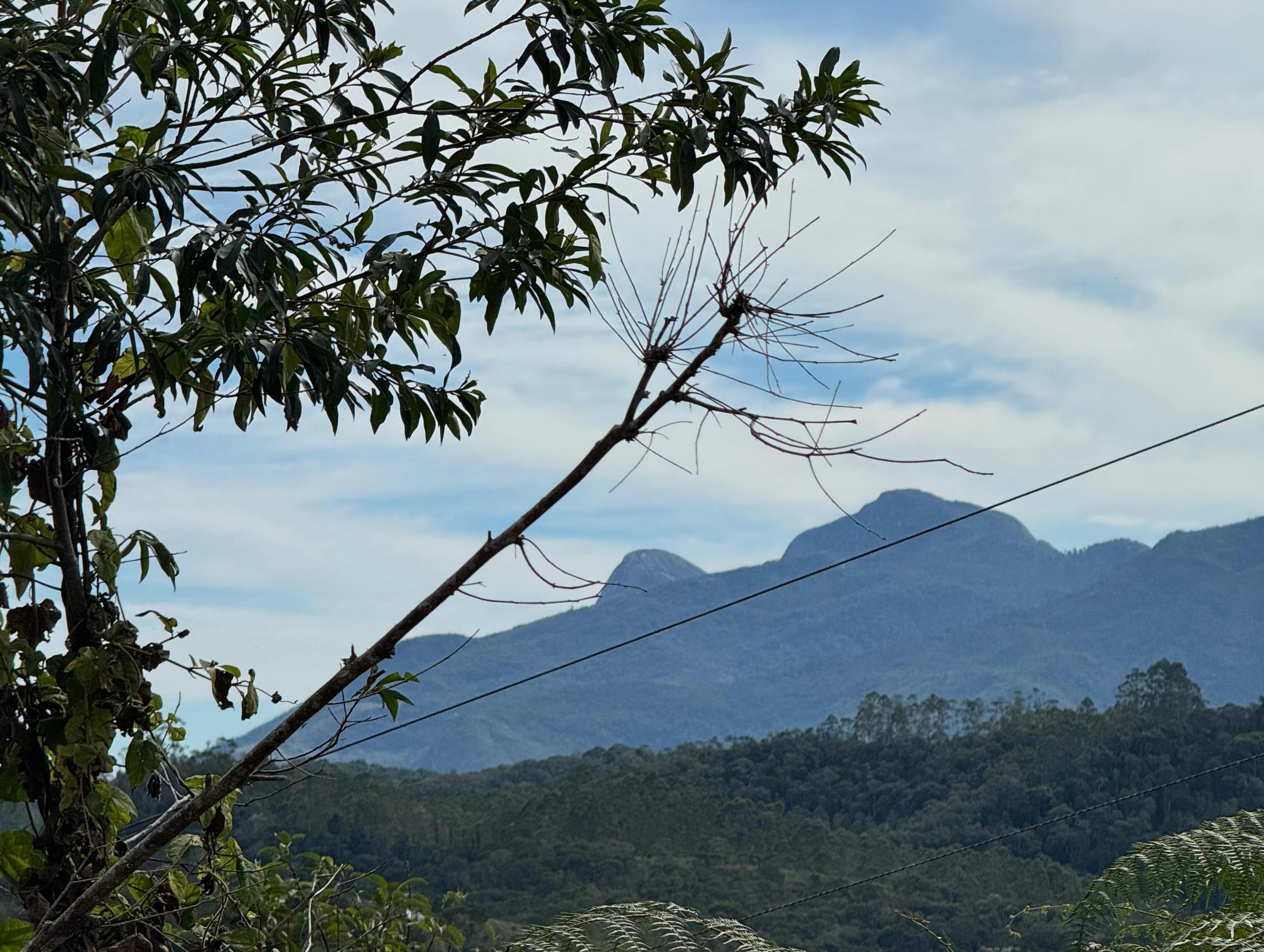 PROPRIEDADE DISPONÍVEL PARA VENDA