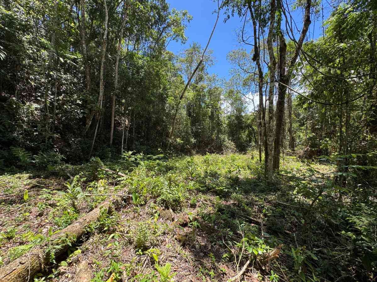 ÁREAS PARA CHÁCARAS