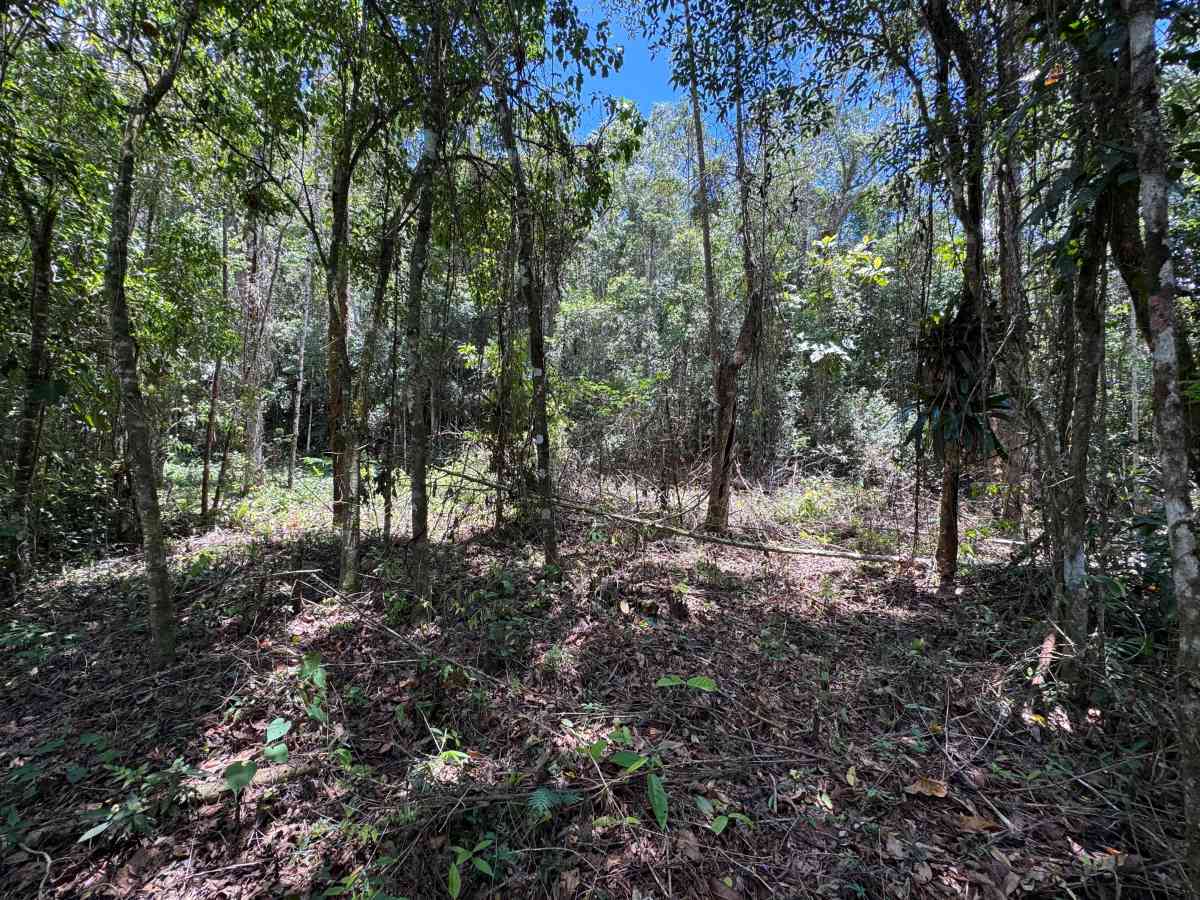 ÁREAS PARA CHÁCARAS