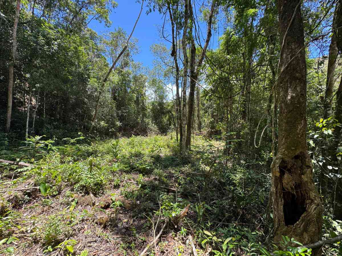 ÁREAS PARA CHÁCARAS