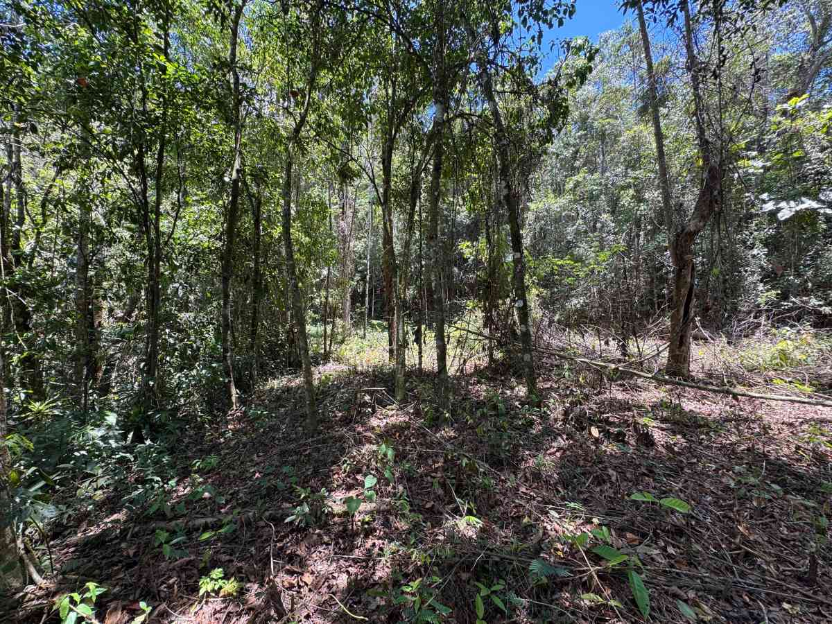 ÁREAS PARA CHÁCARAS