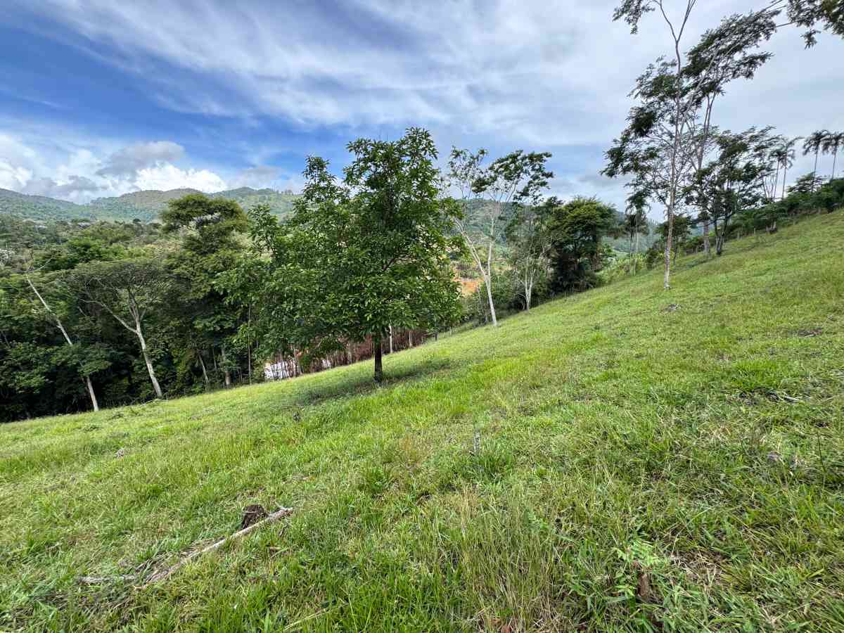 ÁREA PARA CHÁCARAS