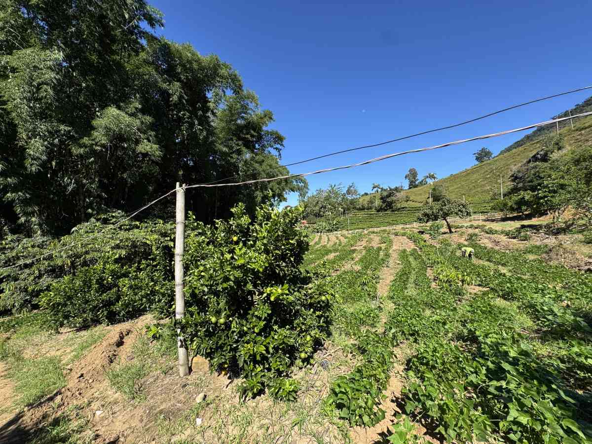 Chácara residencial