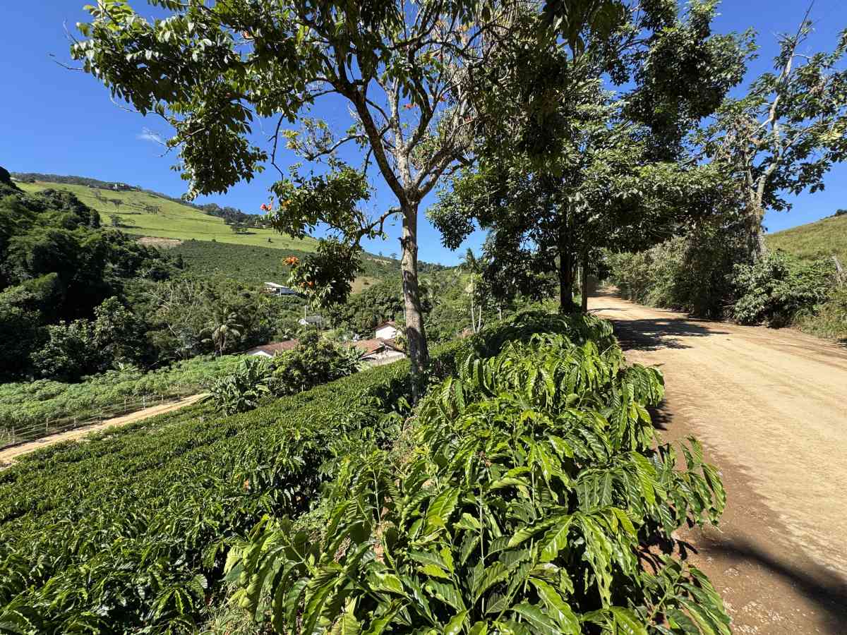 Chácara residencial