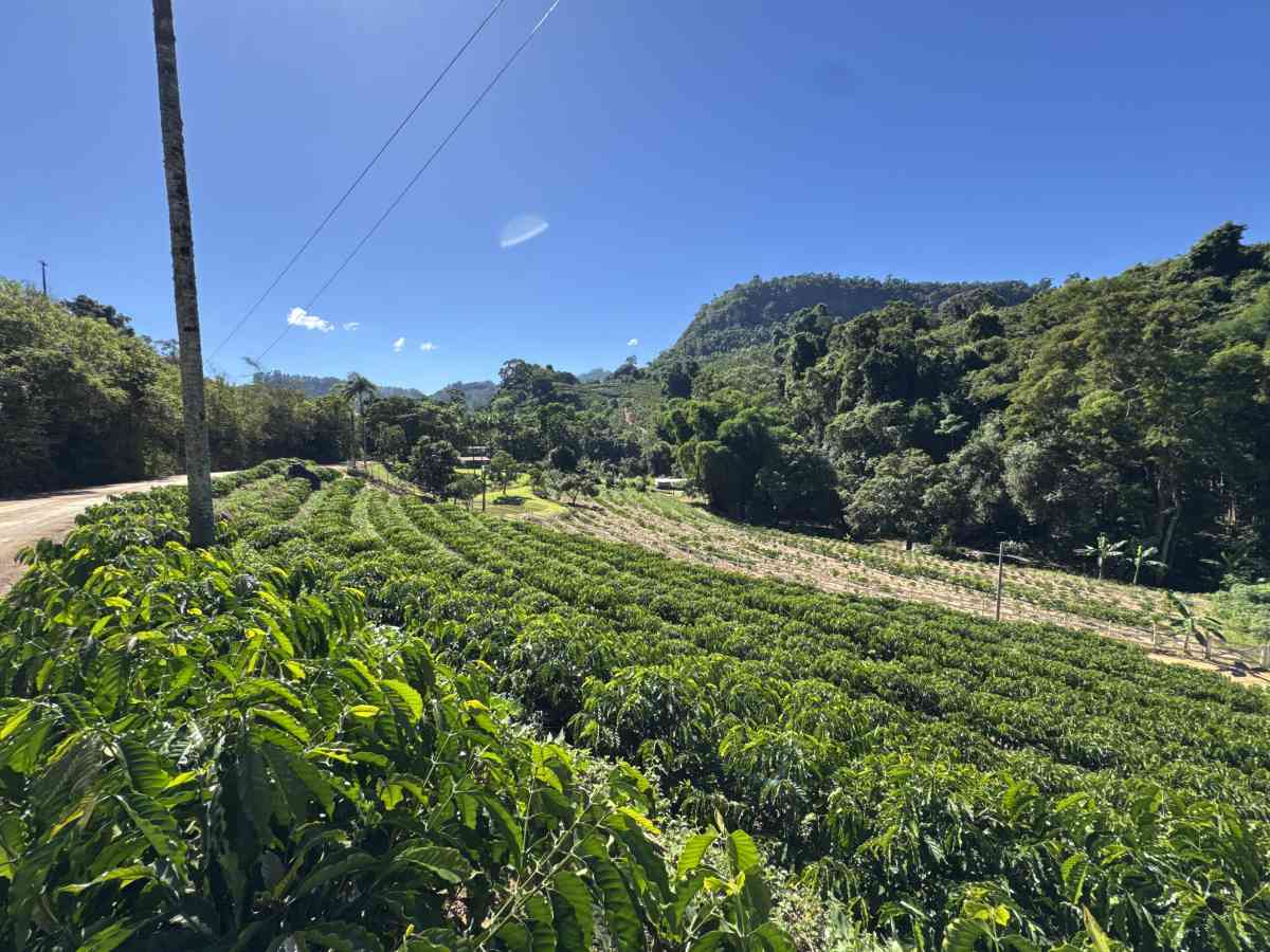 Chácara residencial