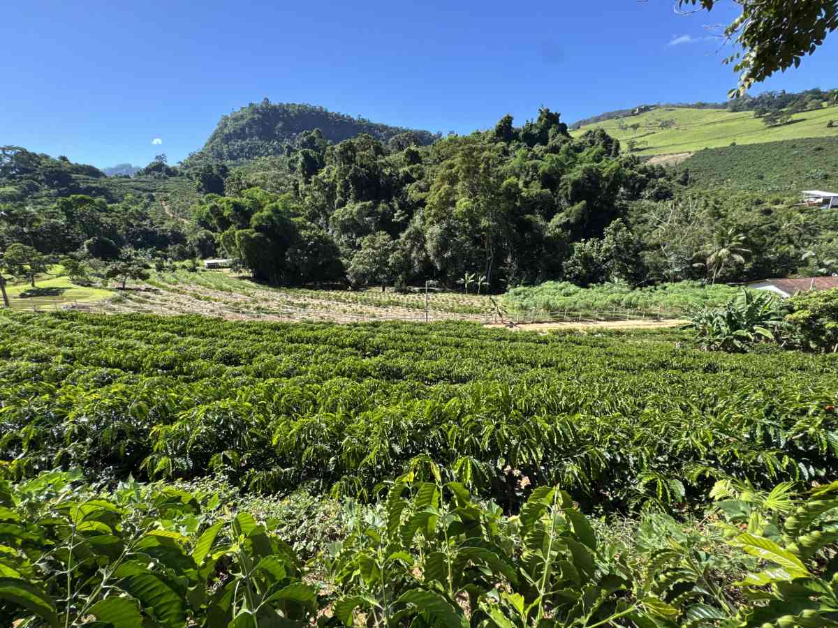 Chácara residencial