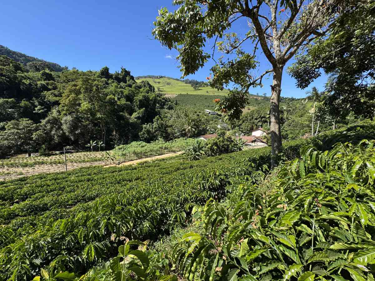 Chácara residencial