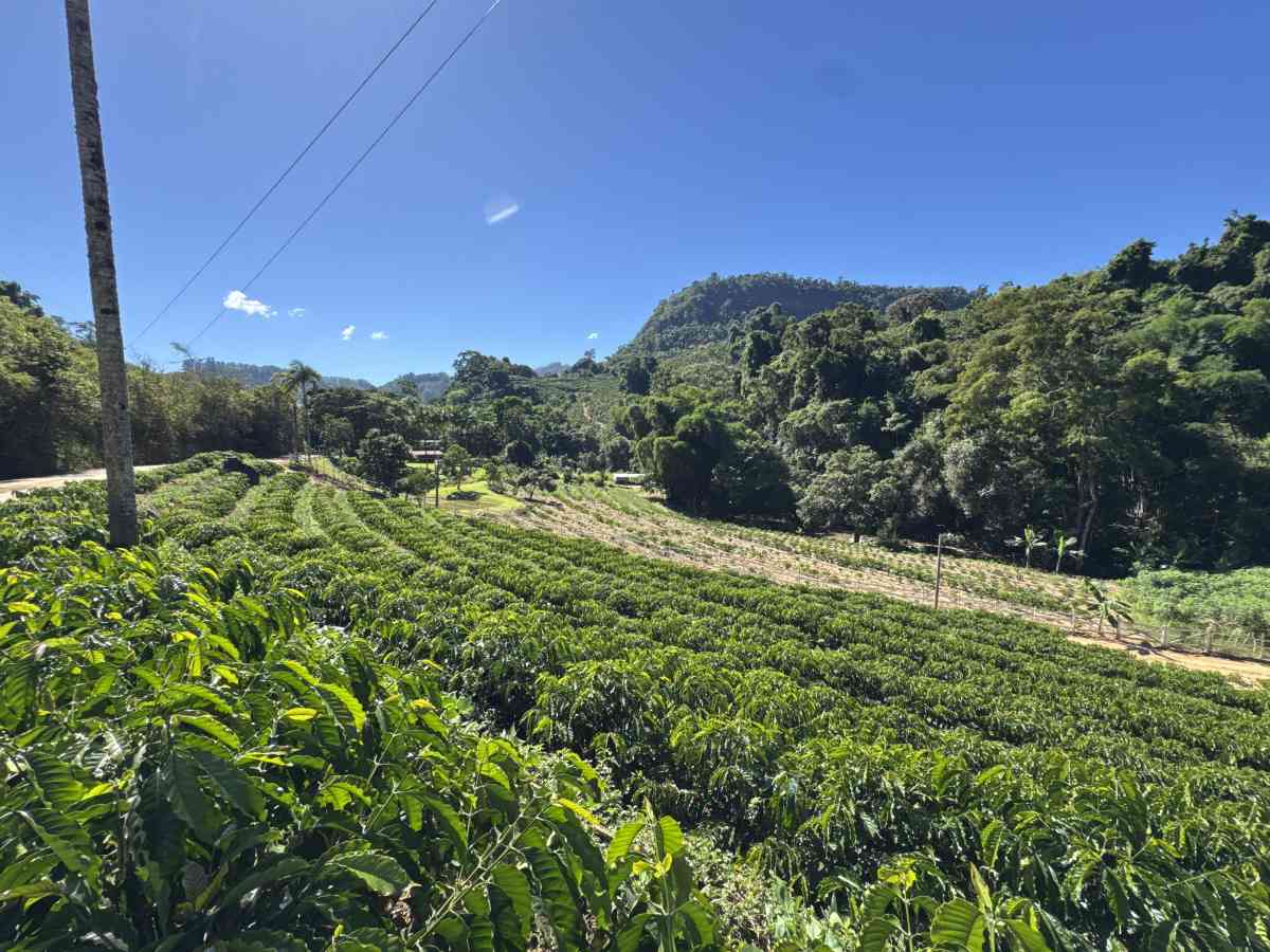 Chácara residencial