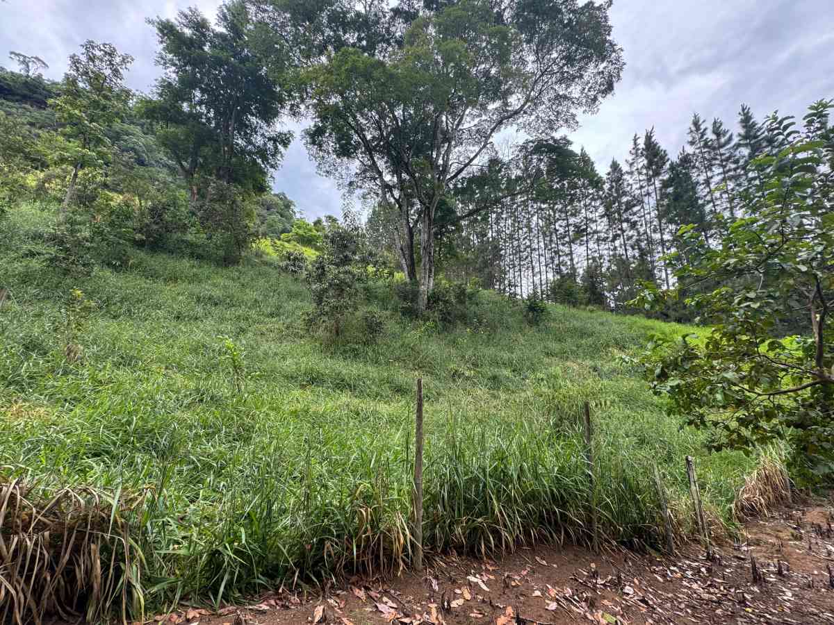 PROPRIEDADE RURAL/ RESIDENCIAL