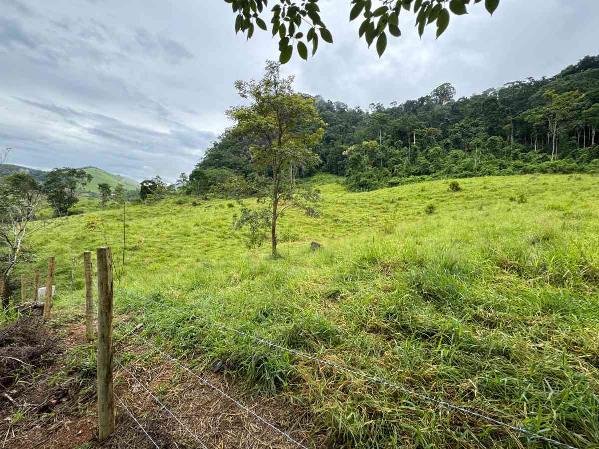 PROPRIEDADE RURAL/ RESIDENCIAL