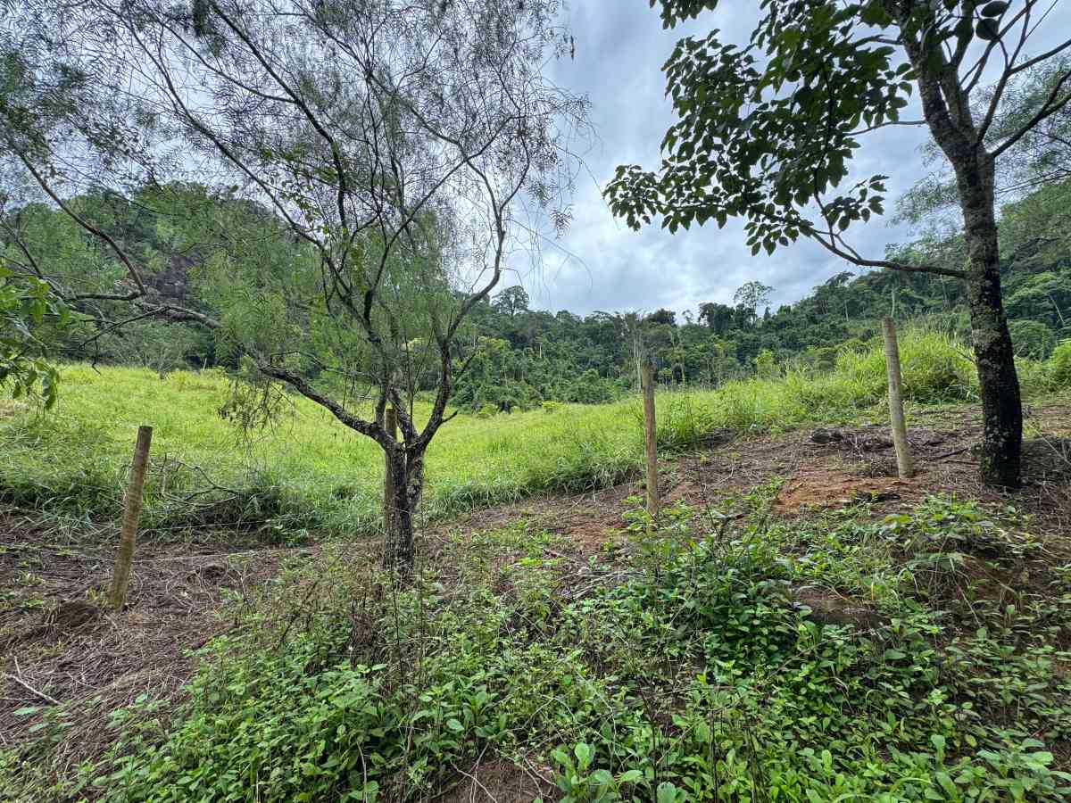 PROPRIEDADE RURAL/ RESIDENCIAL