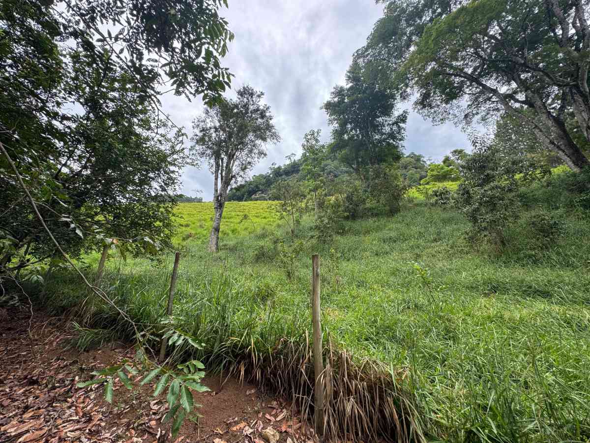 PROPRIEDADE RURAL/ RESIDENCIAL