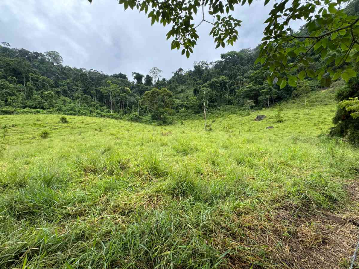 PROPRIEDADE RURAL/ RESIDENCIAL