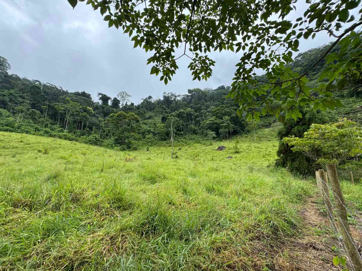 PROPRIEDADE RURAL/ RESIDENCIAL