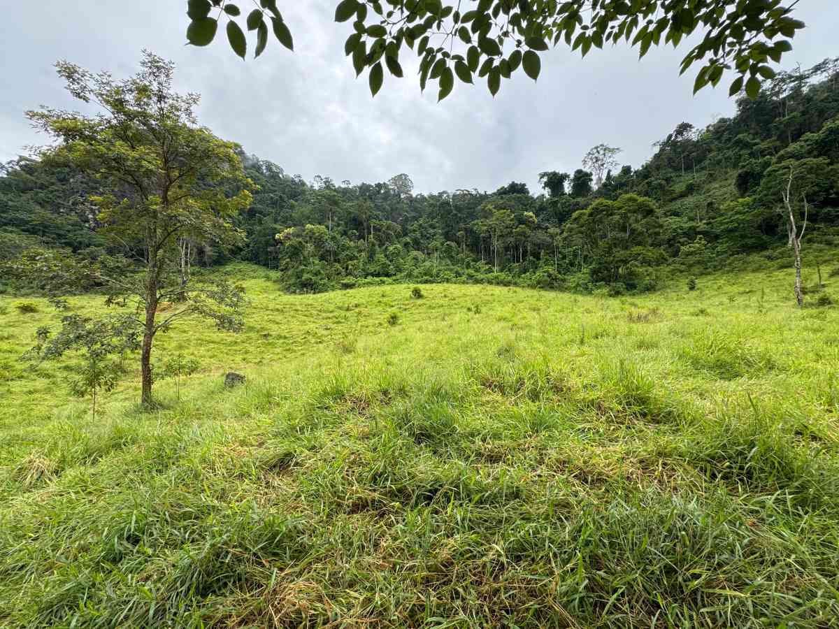 PROPRIEDADE RURAL/ RESIDENCIAL