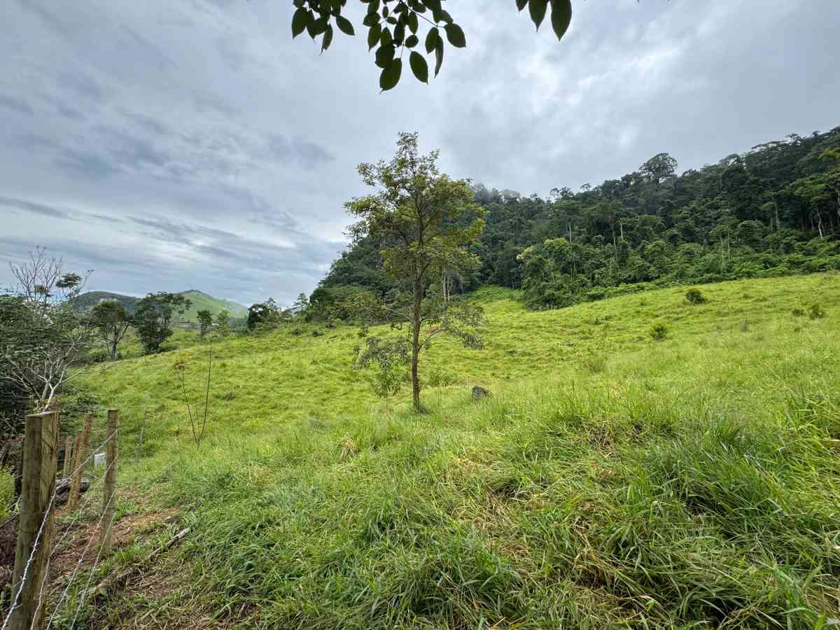 PROPRIEDADE RURAL/ RESIDENCIAL