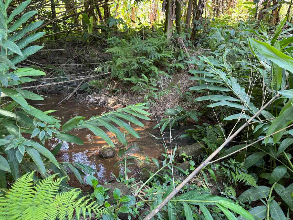 CHÁCARA RESIDENCIAL