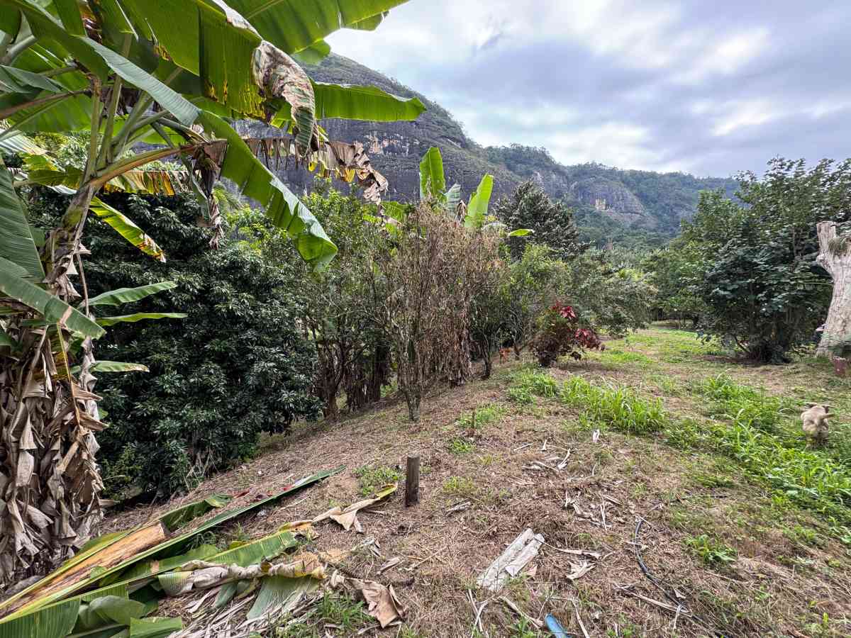 CHÁCARA RESIDENCIAL